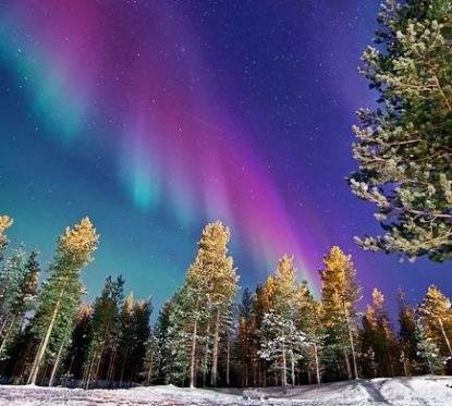 4b6f5db360d9505c4dab428b9f228bea